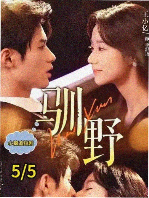 女人在线观看电视剧高清 青春恰自来